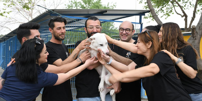 KUŞADASI’NDA CAN DOSTLARINA DEV DESTEK: 3 TON MAMA BAĞIŞI