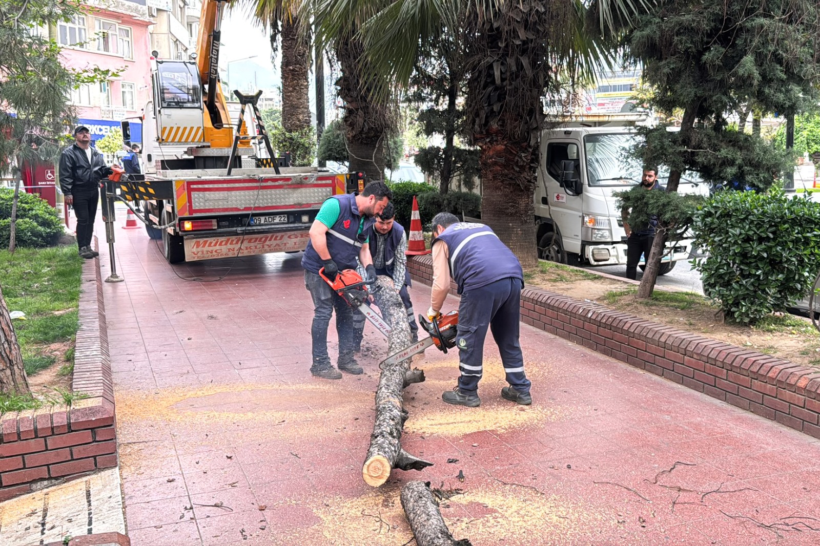 EFELER BELEDİYESİ’NİN EKİPLERİ ÇALIŞIYOR PARKLAR DAHA GÜVENLİ HALE GELİYOR