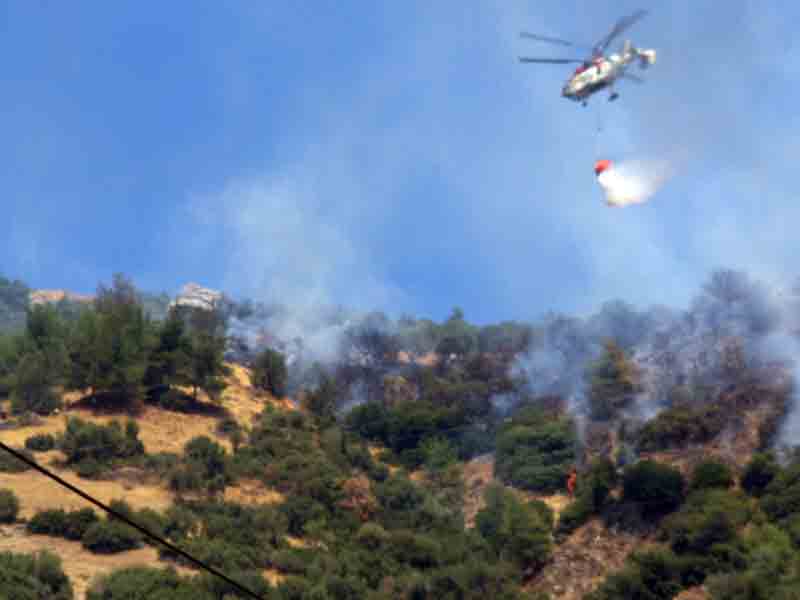 Argavlı’da orman yangını