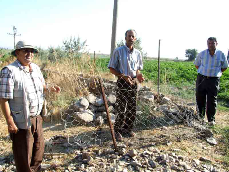 Domuzlardan yaka silkti,