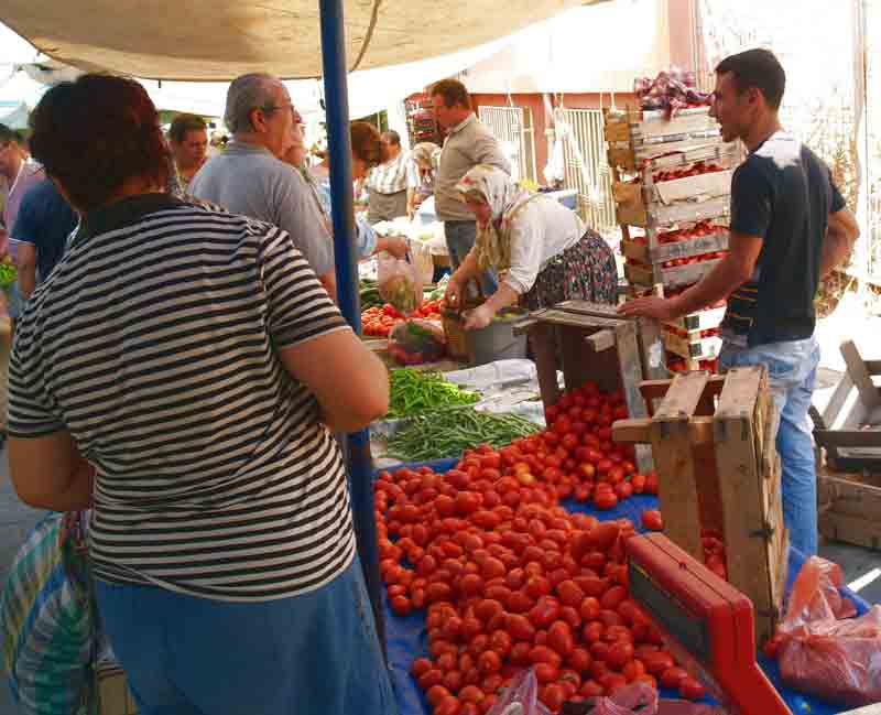 Ucuzluk şampiyonu domates