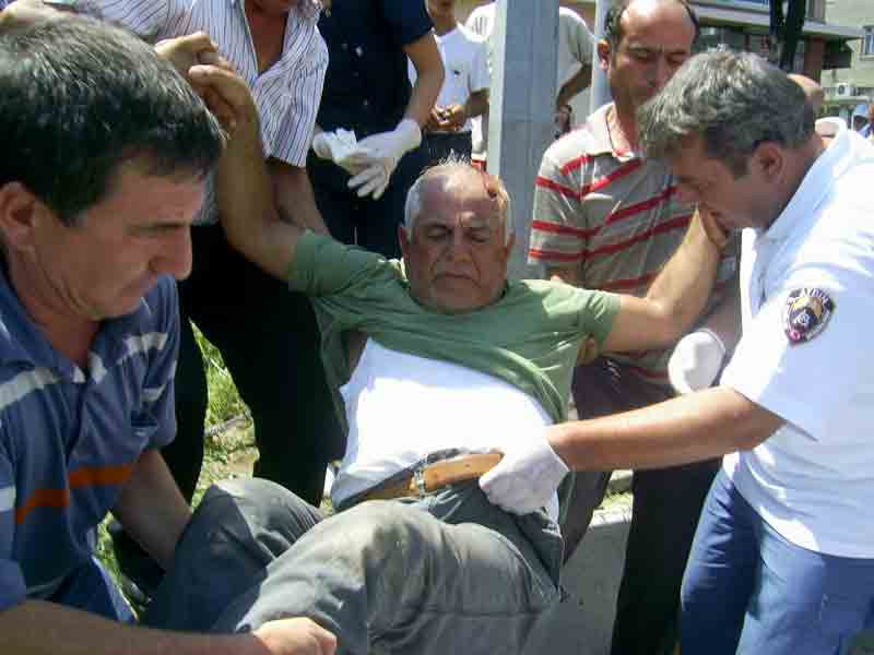 Arı sokması trafik kazasına neden oldu