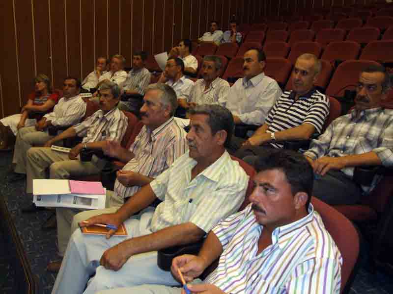 İncirde maliyet 4,5 YTL, zeytinde rekolte düşük olacak