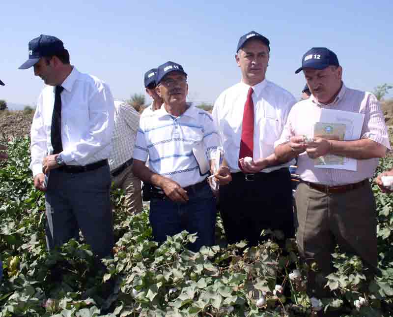İthal tohuma rakip, yerli pamuk tohumu üretildi