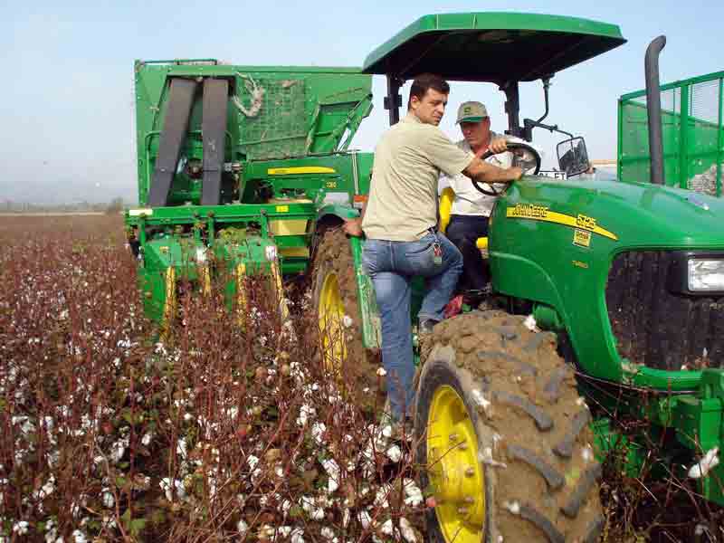 Ovanın küçük devleri tarlaya indi