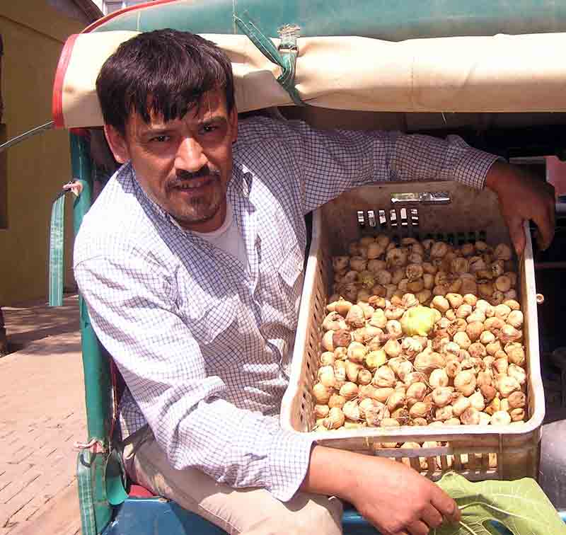 Düşen incir fiyatları üreticiyi üzdü