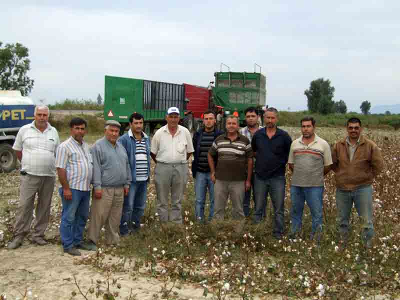 Yağmur korkusu pamuk hasadını hızlandırdı