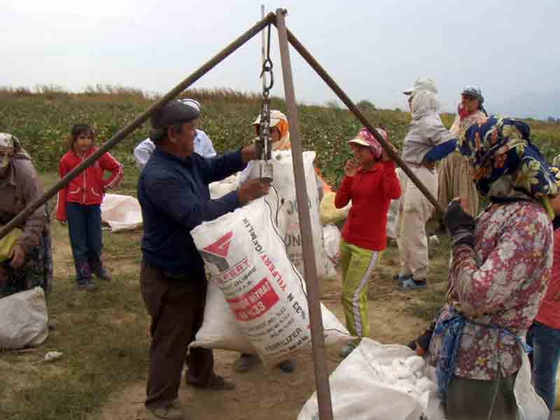 Makinalı hasat tartışması