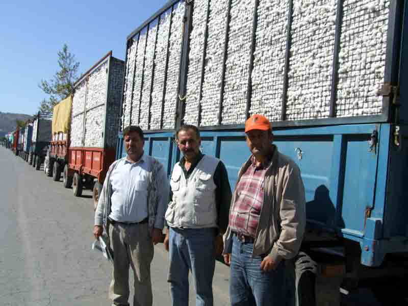 40 Randıman Pamuk 1 YTL