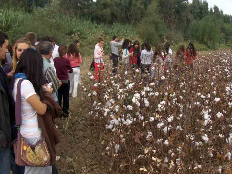 “Gömleğin Öyküsü”