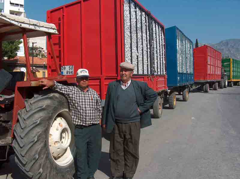 Pamuk alımları hız kazandı