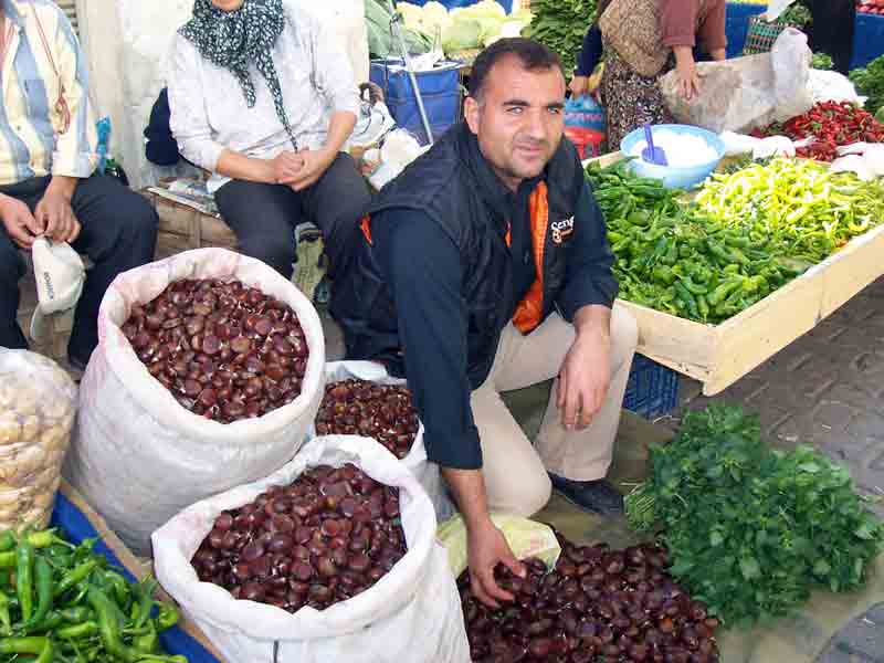 Kestane ihracatı başladı