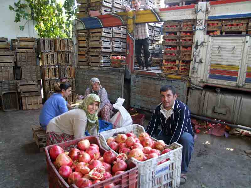 Nar gözden düştü, para etmiyor!
