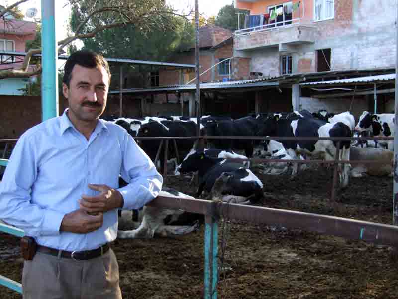 Aydınlı süt besicileri