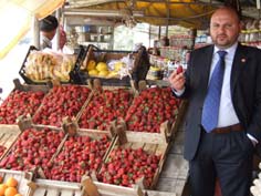Atça çileğinde ihracat hamlesi