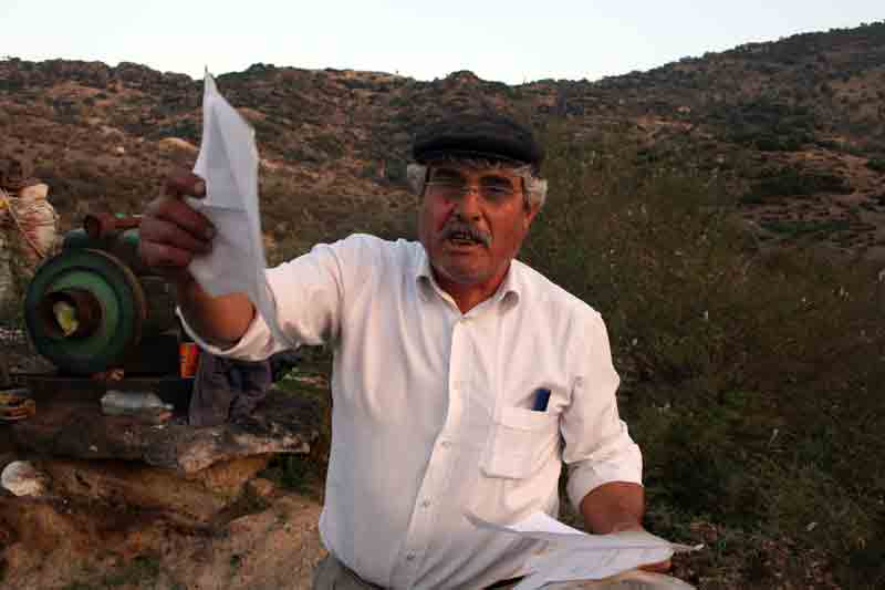 Verim düşüklüğü ve kuraklık zeytinciyi perişan etti