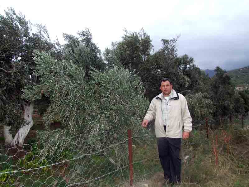 Yağmur yağdı, yüzler güldü