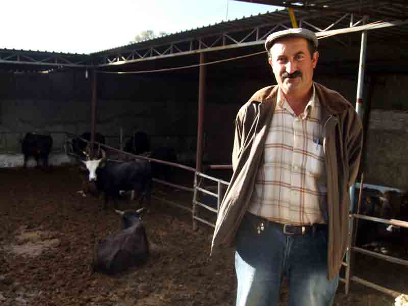 Hayvan hırsızlığı