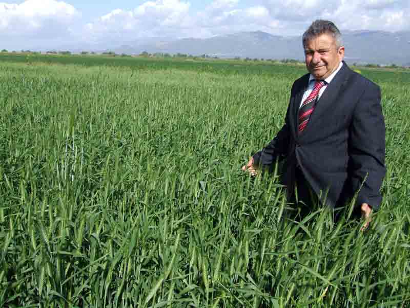 HASAT REKORLA BAŞLADI