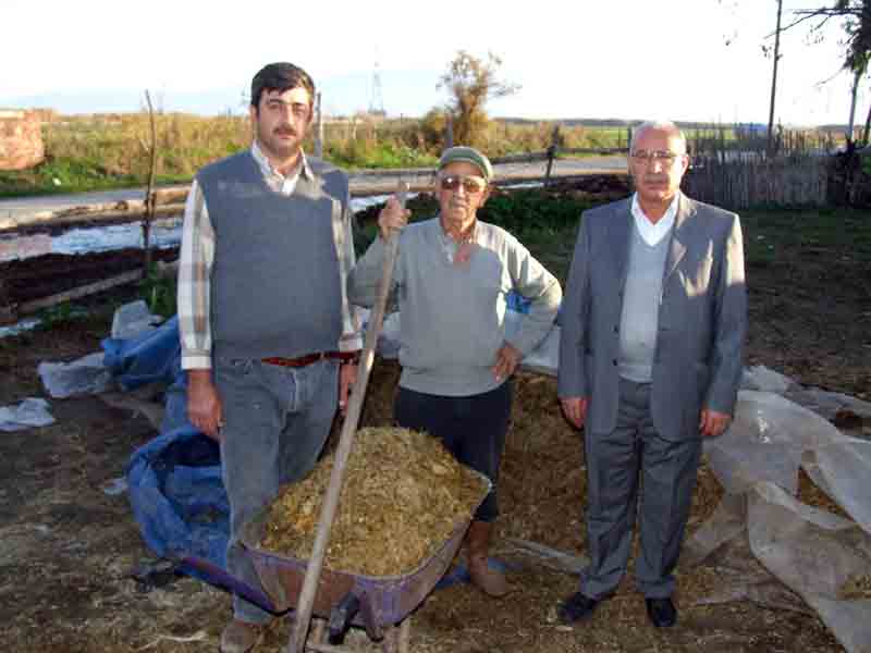 Süt fiyatları düşüyor, peki peynir fiyatları niye ucuzlamıyor?