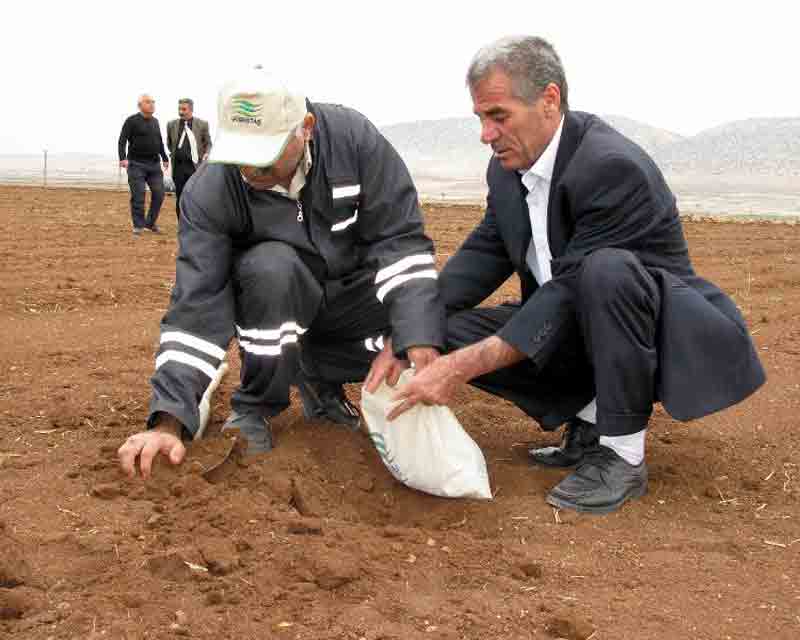 Toprak ve yaprak analizi çiftçiye kâr sağlıyor