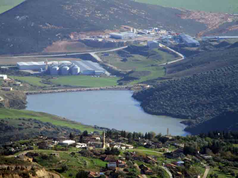 Çine Tariş Zeytinde de beklenti dekar desteği