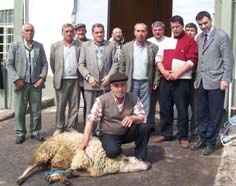 TARİŞ zeytinyağı sezonunu kurban keserek kapattı