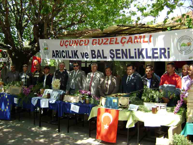 Güzelçamlı 3. Arıcılık ve