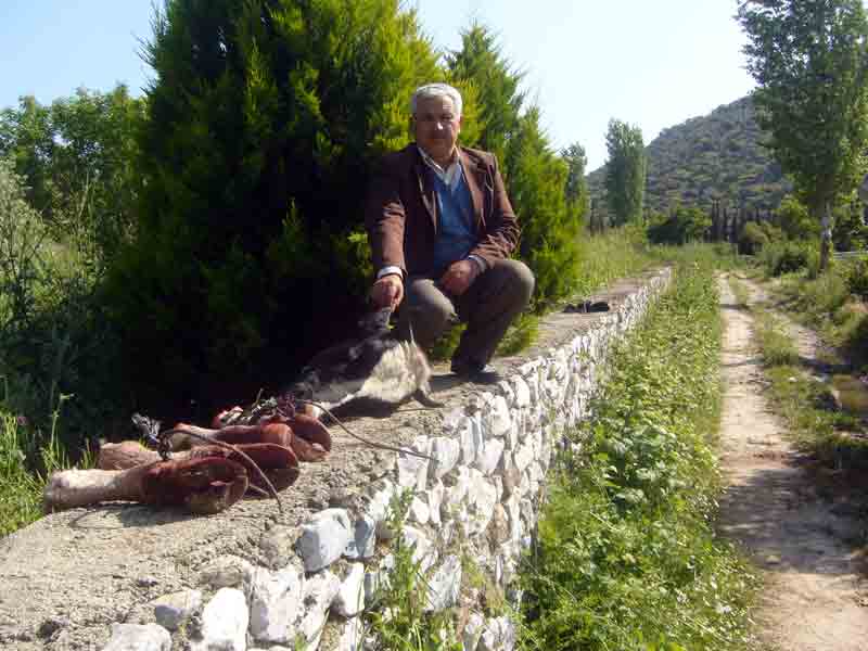 Hayvan hırsızları yine iş başında