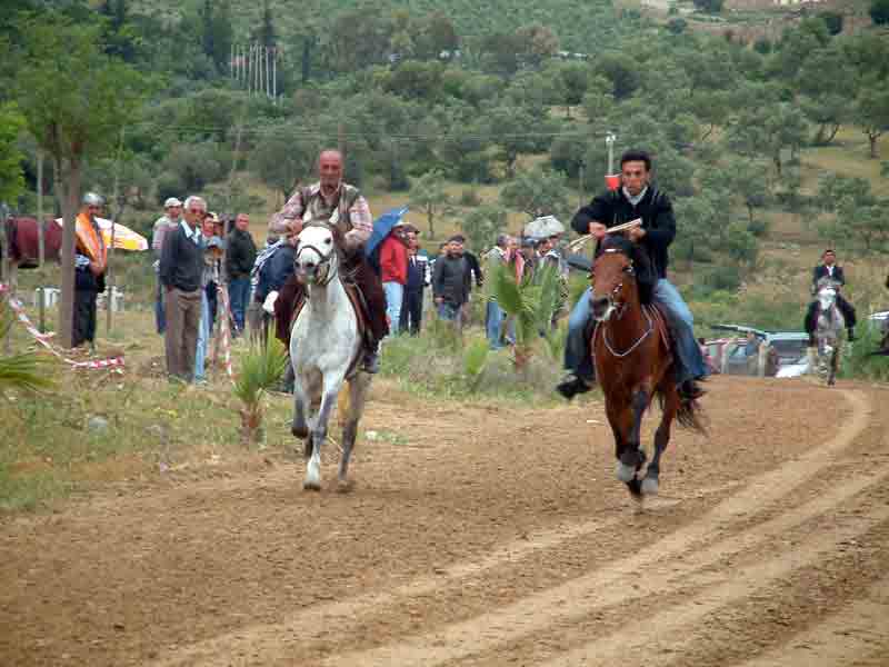 Rahvan Atlar Kuşadasını şenlendirecek