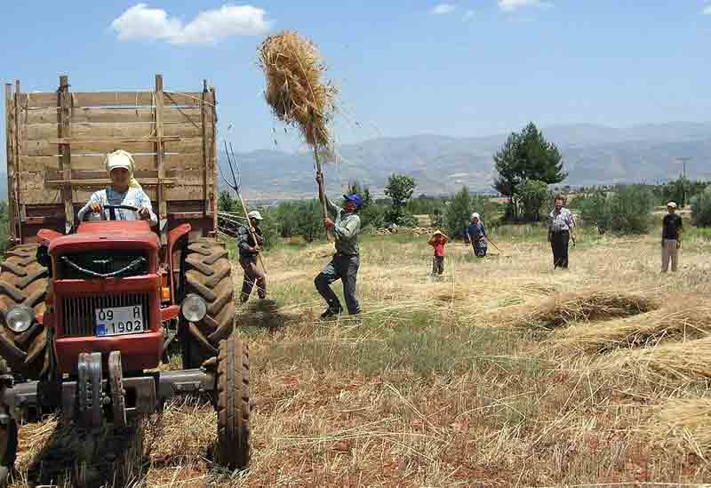 Aydında toplulaştırma öncesi arazi simsarlığı