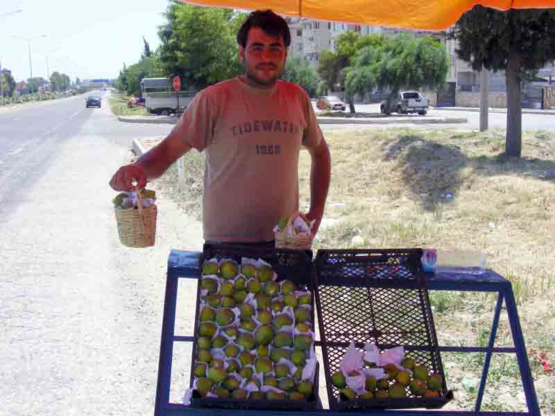 Aydından önce Manisa inciri tezgahlarda