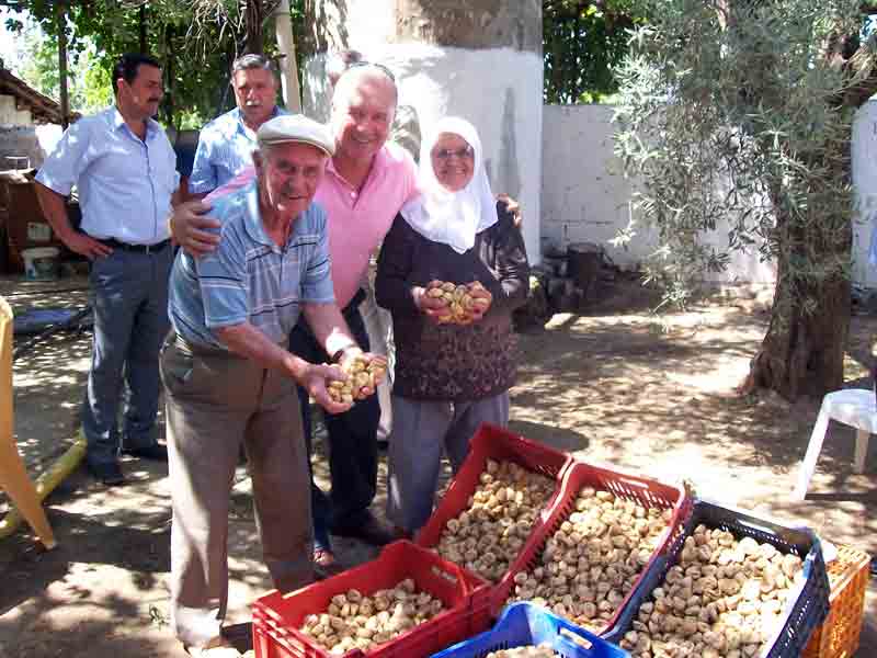 İncir fiyatları geriyor