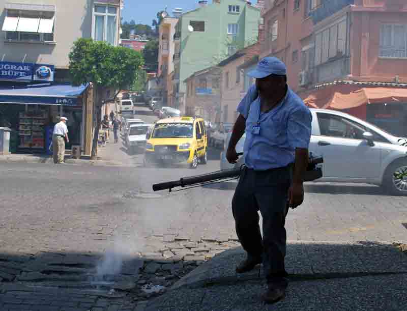 AYDIN BELEDİYESİ BİT MÜCADELESİ BAŞLATTI