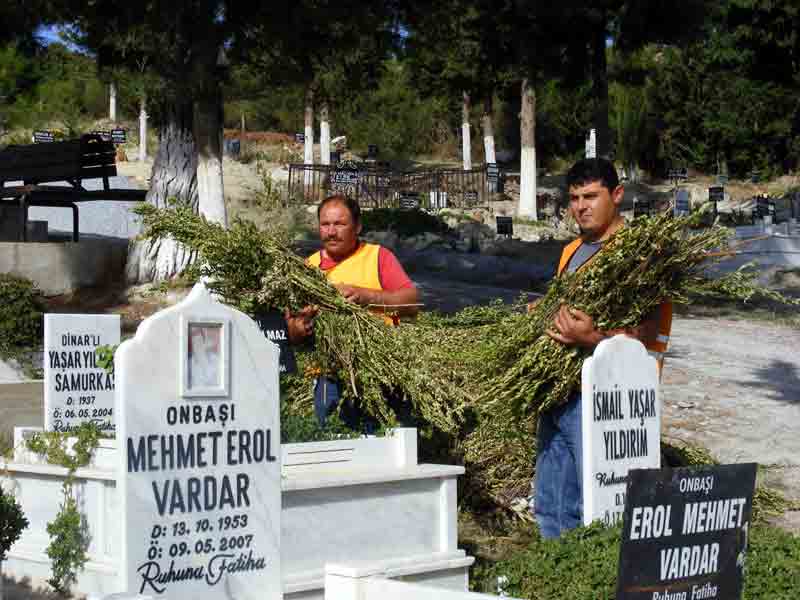 MEZARLIKLARINDA BIRAKILAN MERSİNLER YIĞIN OLDU