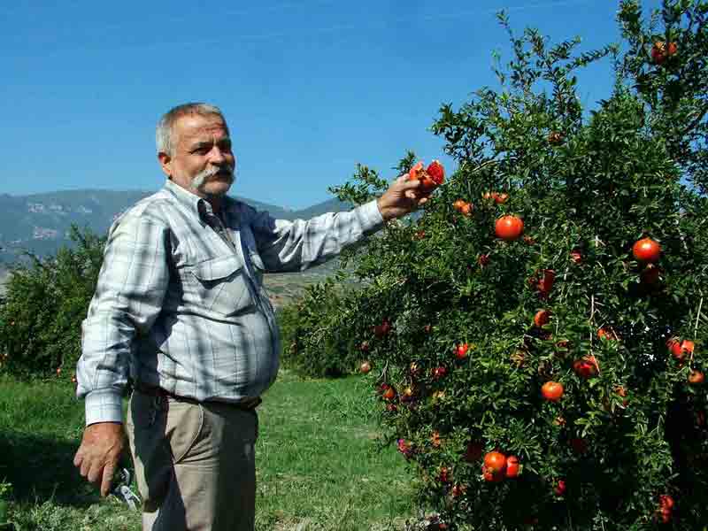 Üreticinin yeni gözdesi