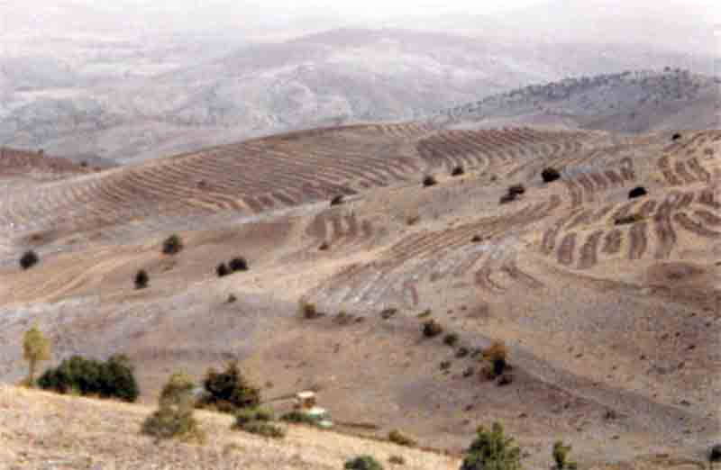 Toprak hayat demektir