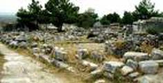 Geleneksel Güllübahçe Priene Festivali görkemli bir açılışla başladı