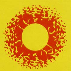 Sevay Açıcı: “Kadınlar ve Anneler eşitsiz bir dünyada yaşıyorlar