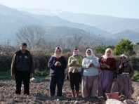 Bu patatesler pınar sularıyla yetiştirildi