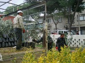 Yurt dışına 1 gram dahi toprak çıkarmanın yasak olduğunu biliyor muydunu