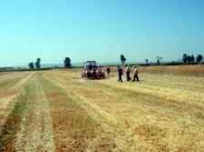 Valilikten pembe kurt yönetmeliği uyarısı