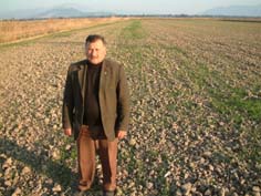 Sağanak yağışlar pamuk tarlalarına serum gibi geldi