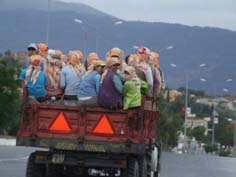 Pamuk işçilerinin 40° sıcaklıktaki zor sınavları
