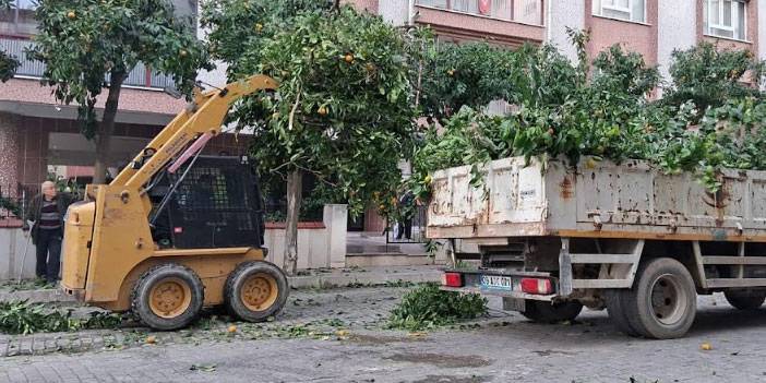 EFELER’İN EKİPLERİ DAHA YEŞİL BİR KENT İÇİN ÇALIŞIYOR