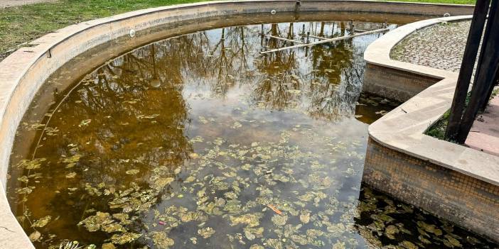 AK PARTİLİ ÖZLEM ÇERÇİOĞLU’NUN SORUMSUZLUĞU HALK SAĞLIĞINI TEHDİT EDİYOR