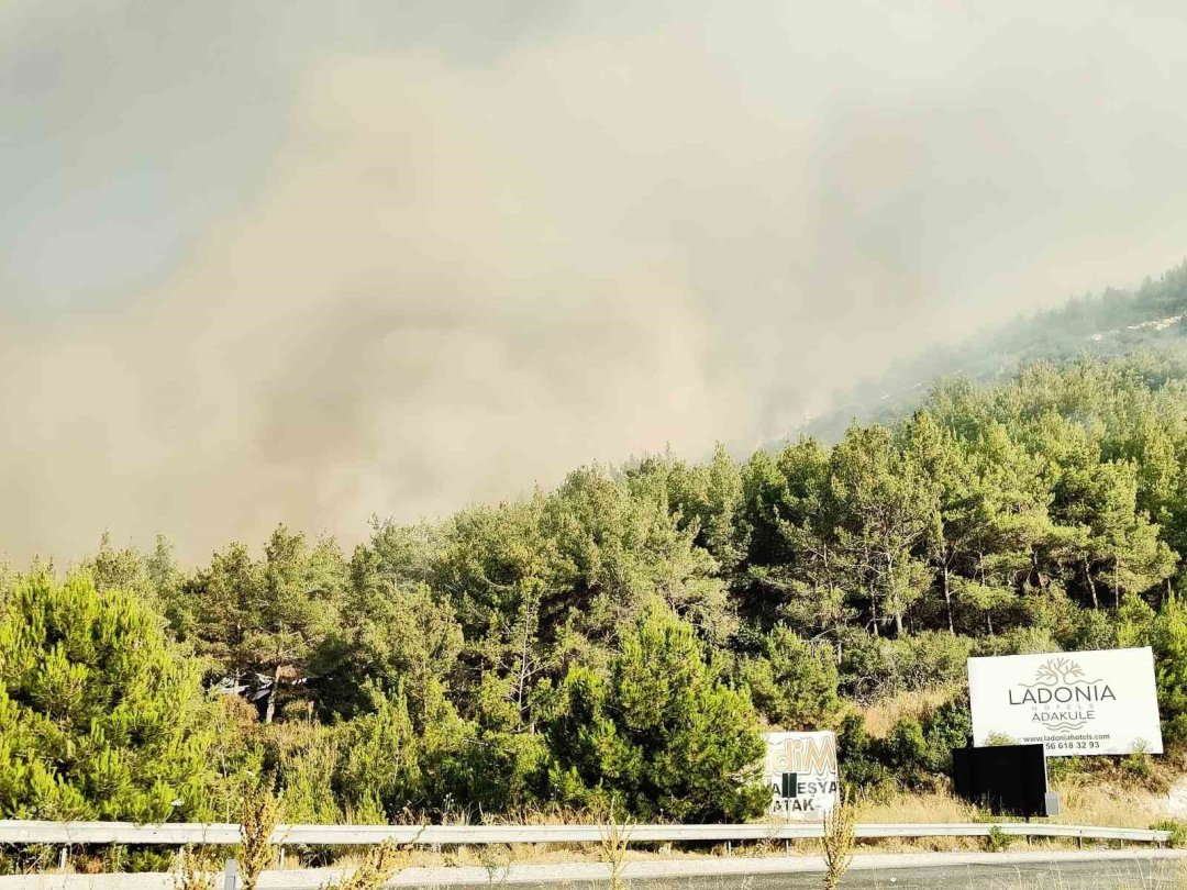 Pamucak’tan Kuşadası’na sıçrayan yangını söndürme çalışmaları devam ediyor