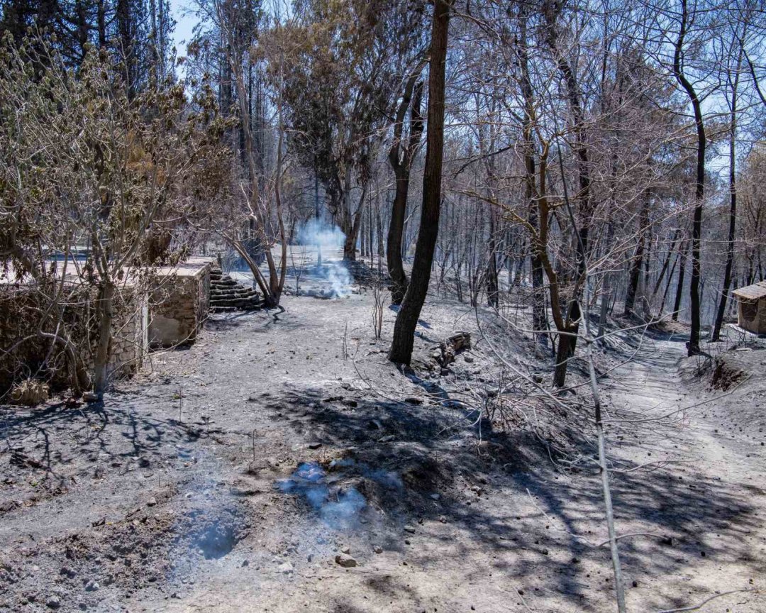 Başkan Günel yangın alanında incelemede bulundu