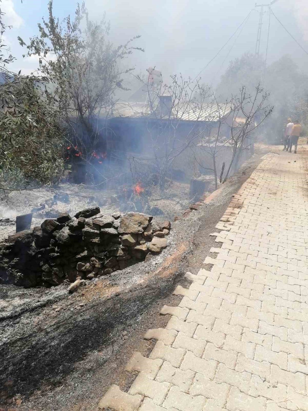 Aydın’daki yangınların bilançosu açıklandı