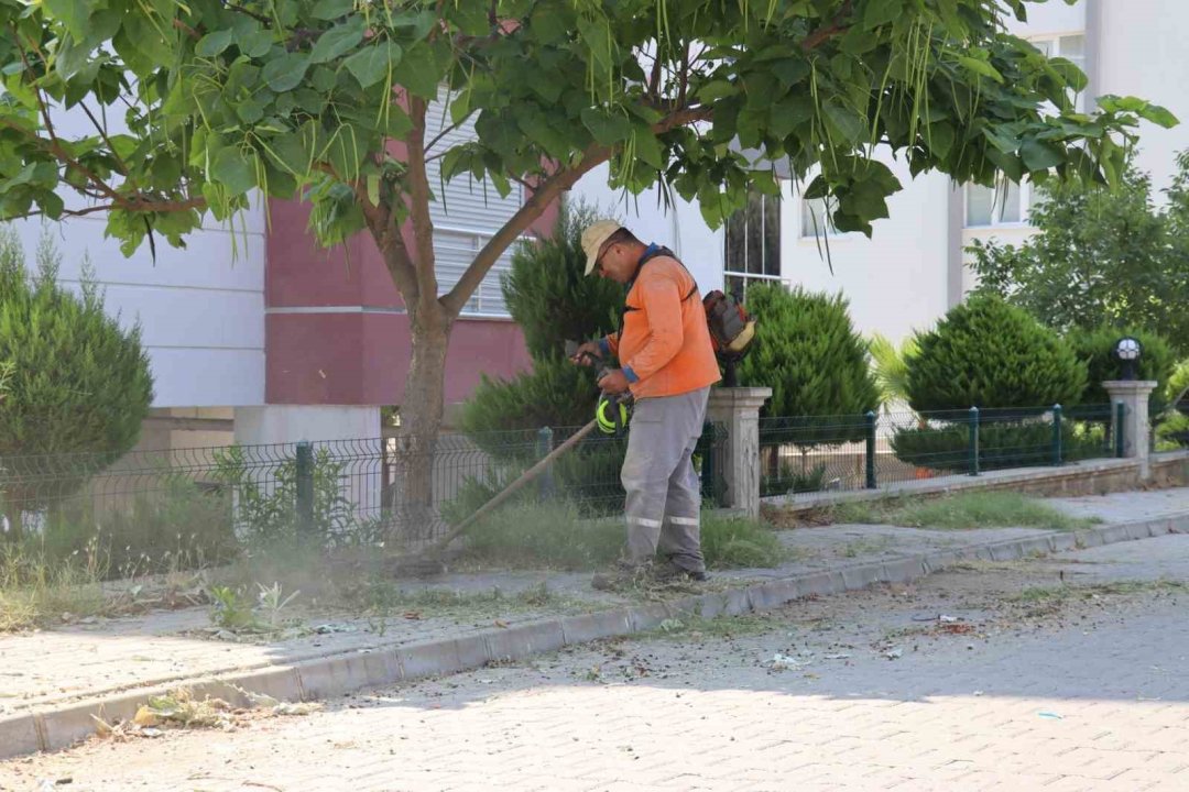 Nazilli Belediyesi Pınarbaşı Mahallesi’nde temizlik çalışması başlattı